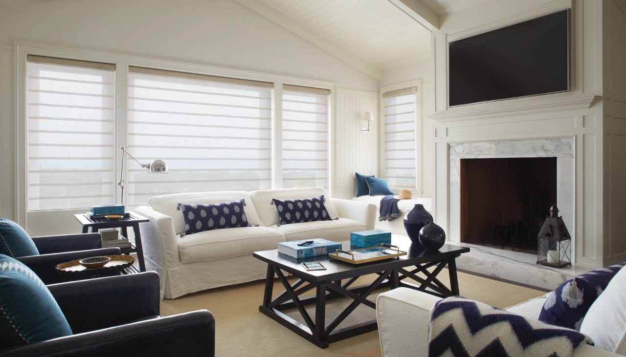 Hunter Douglas Vignette® Modern Roman Shades near O'Fallon, Missouri (MO)